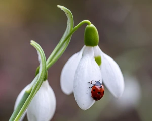 Синоптики порадували прогнозом на вівторок