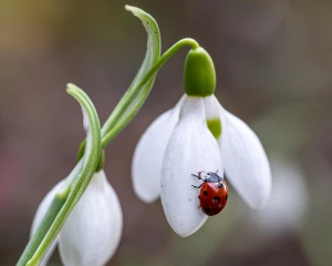 Синоптики оновили прогноз на четвер